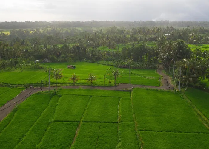 Resort Alila Ubud 5*