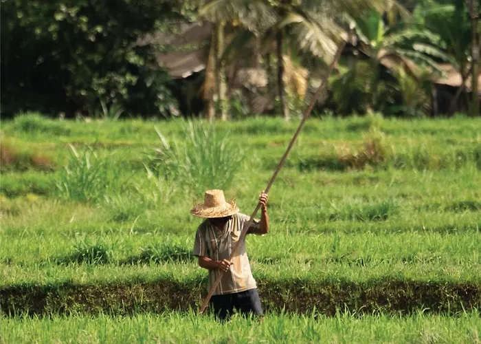 Alila Ubud Resort 5*