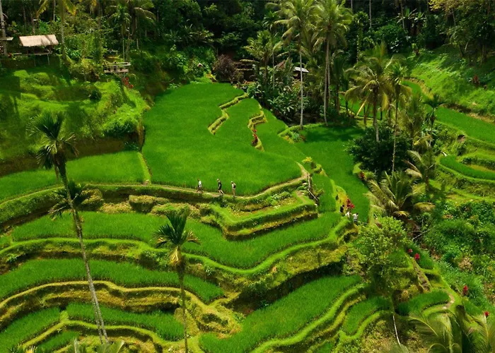 Resort Alila Ubud 5*